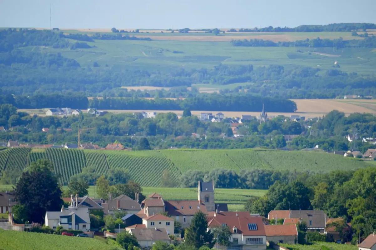 Agreable Maison Petit Jardin A 7 Minutes De Reims Pargny-les-Reims Exteriör bild